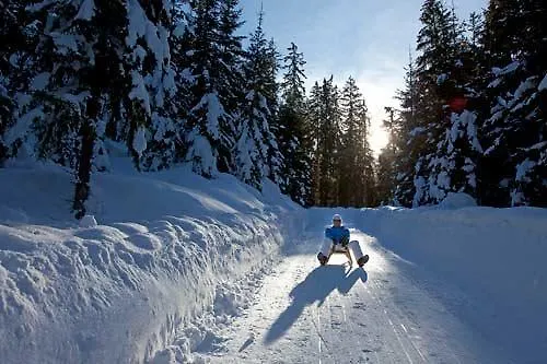 Apartamento Stadtalm Islitzer Mittersill